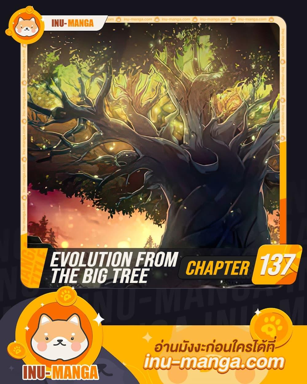 evolution from the big tree 137.01